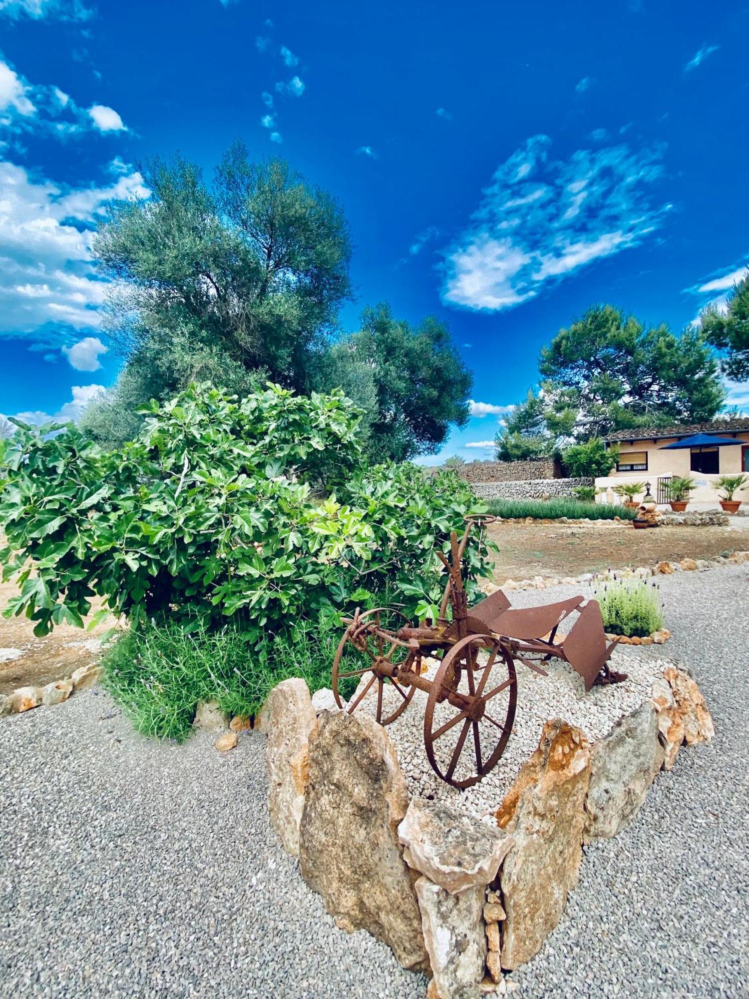 Finca Sa Canova Agroturismo 坎波斯 外观 照片