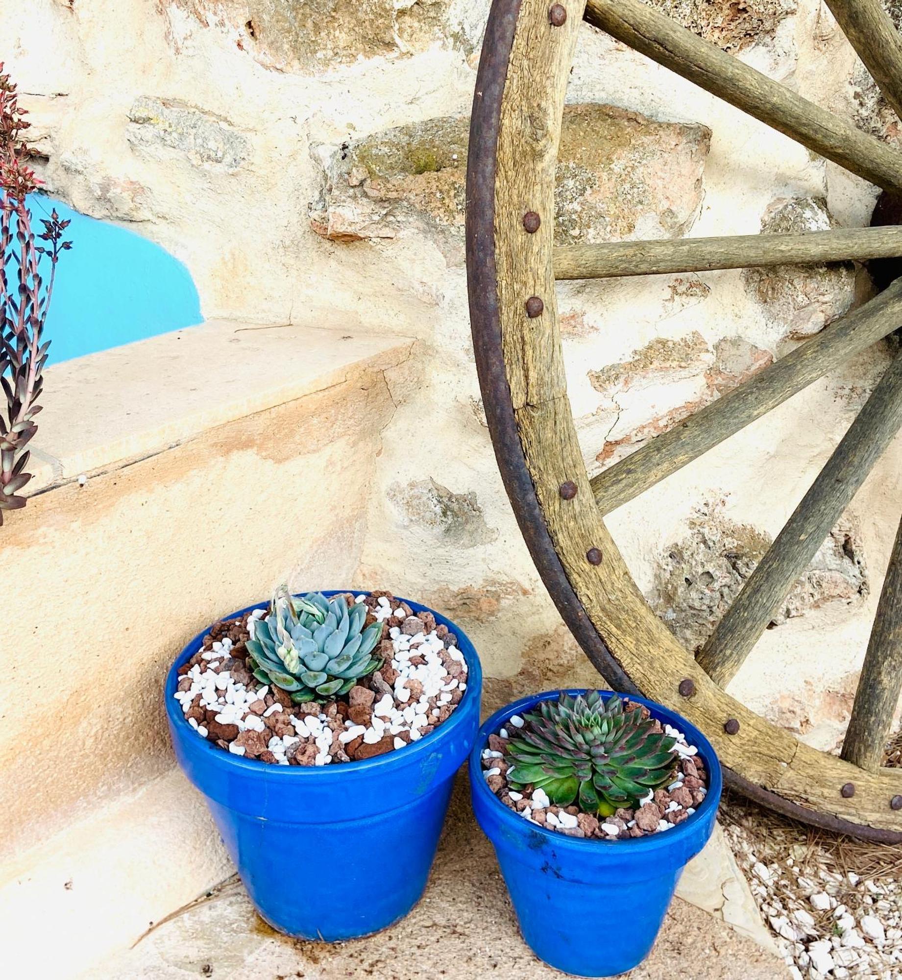 Finca Sa Canova Agroturismo 坎波斯 外观 照片